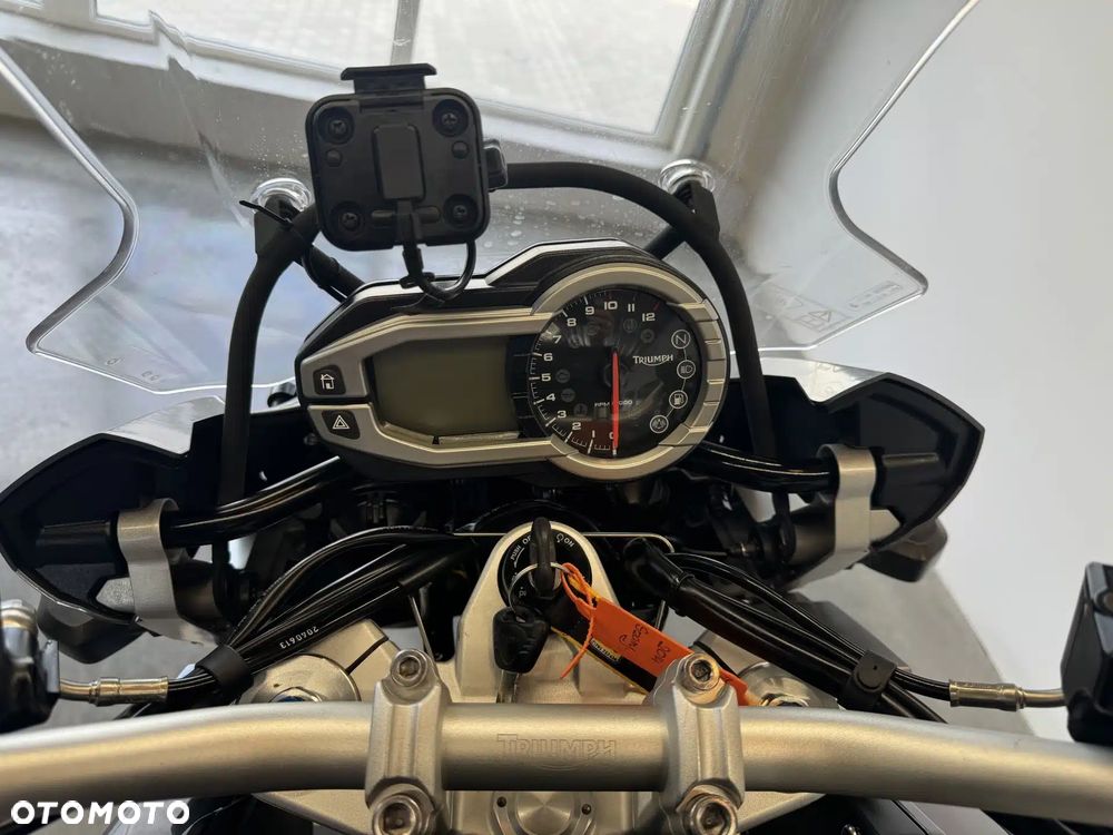 Triumph Tiger - 31