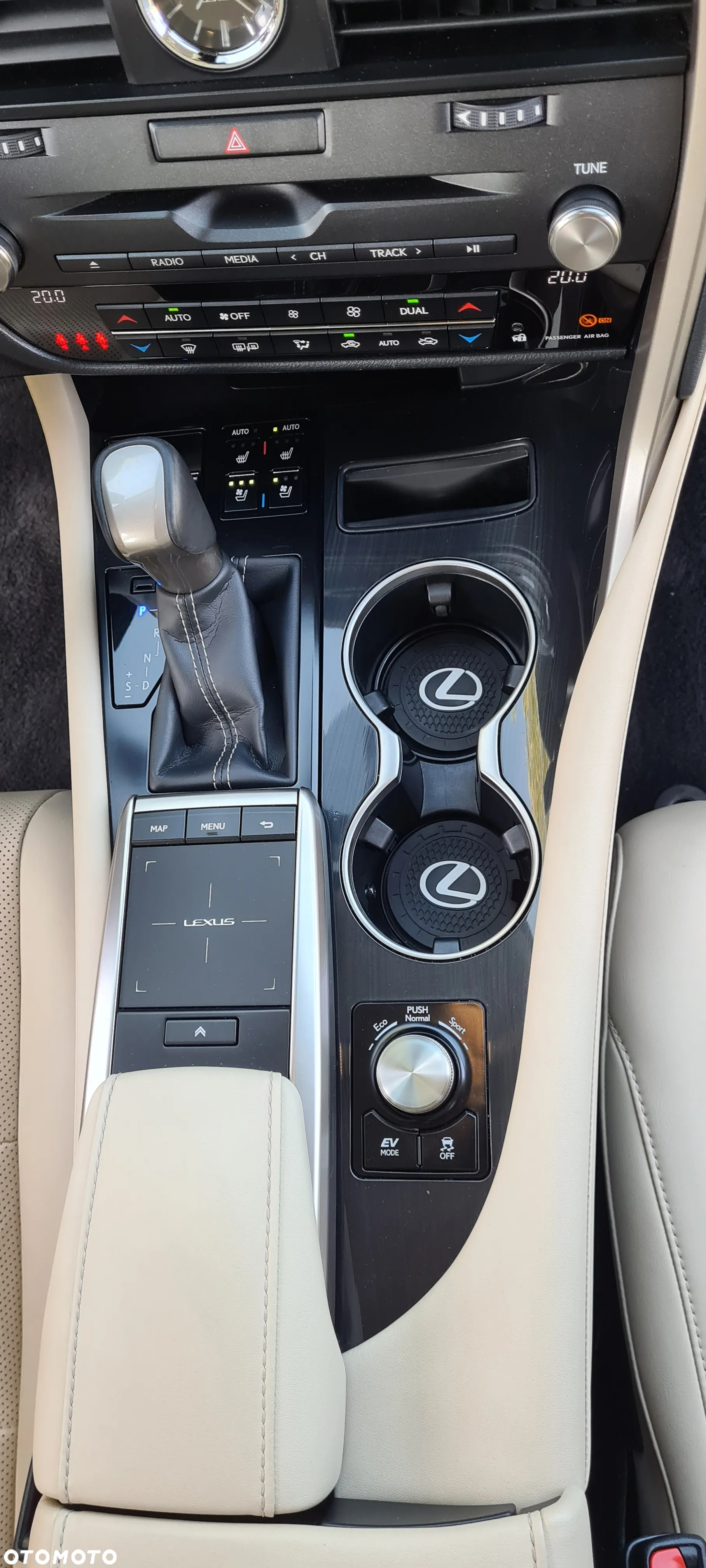 Lexus RX 450h F-Impression - 17