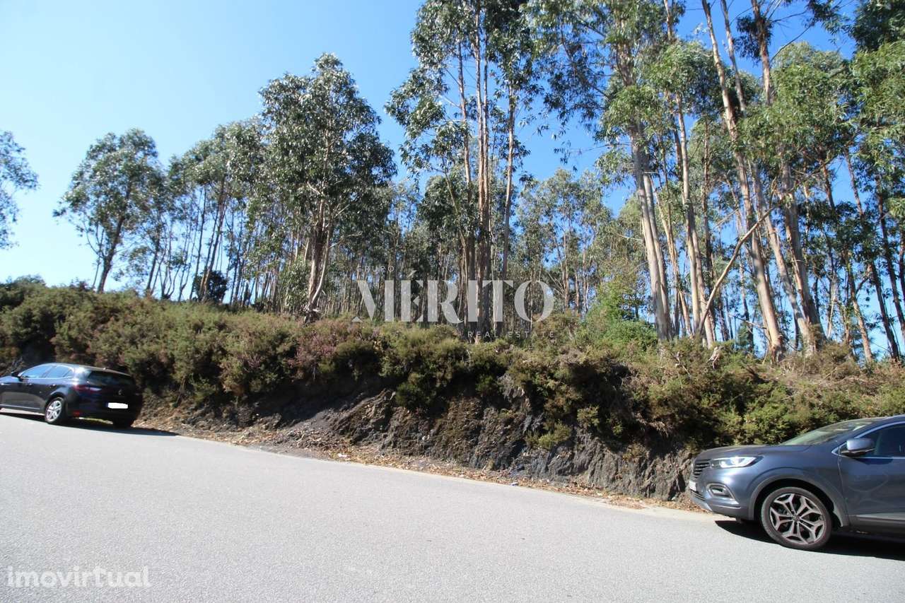 Terreno com 9.999M2, para construção de espaço de atividades económica - Grande imagem: 3/5