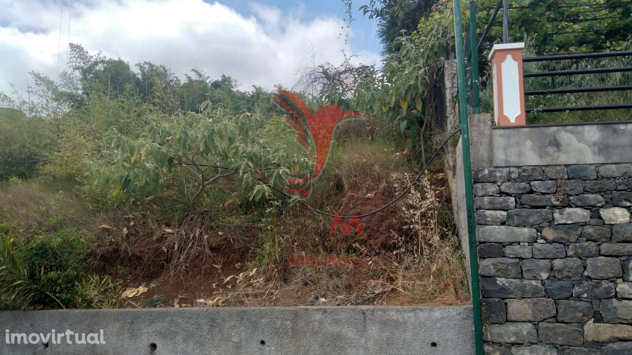 Terreno para construção , localizado em Porto da Cruz - Grande imagem: 3/6