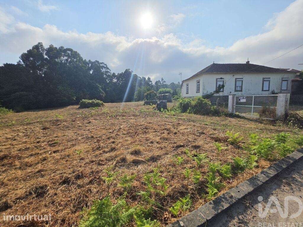 Terreno em Reboreda e Nogueira - Grande imagem: 3/3