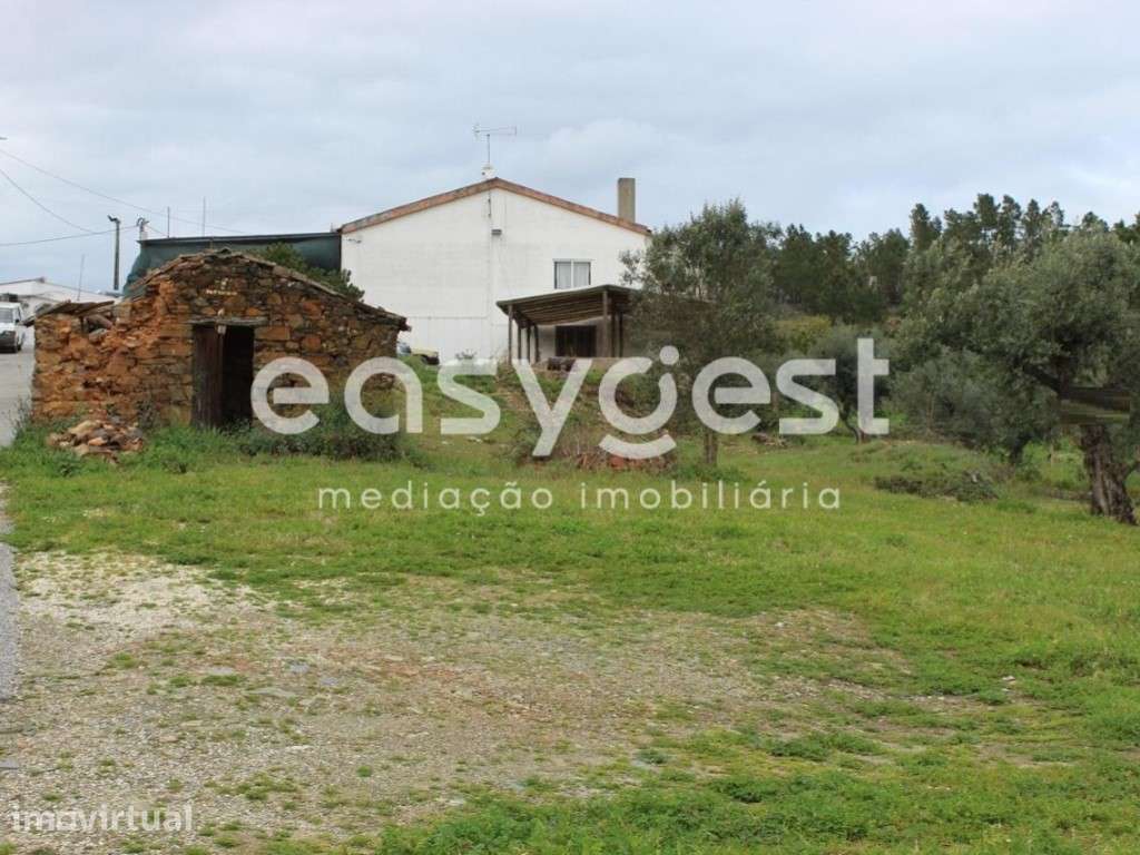 Terreno com 3080m2 de área localizado no Centro de Portugal - Grande imagem: 2/28