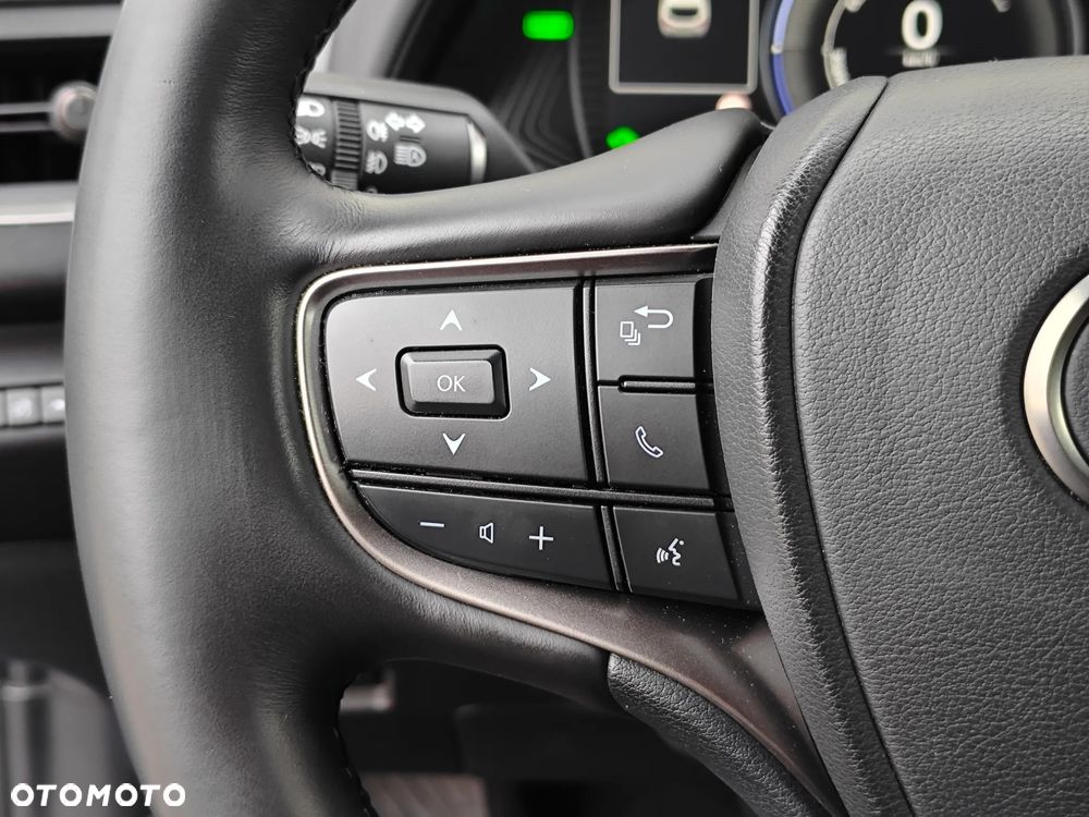 Lexus UX 250h GPF F Sport Design+ 2WD - 22