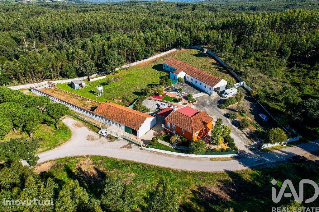 Quinta T3 em Alcobertas de 255,00 m2 - Grande imagem: 3/29