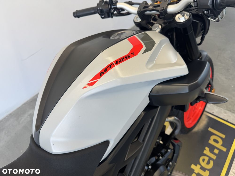 Yamaha MT - 17