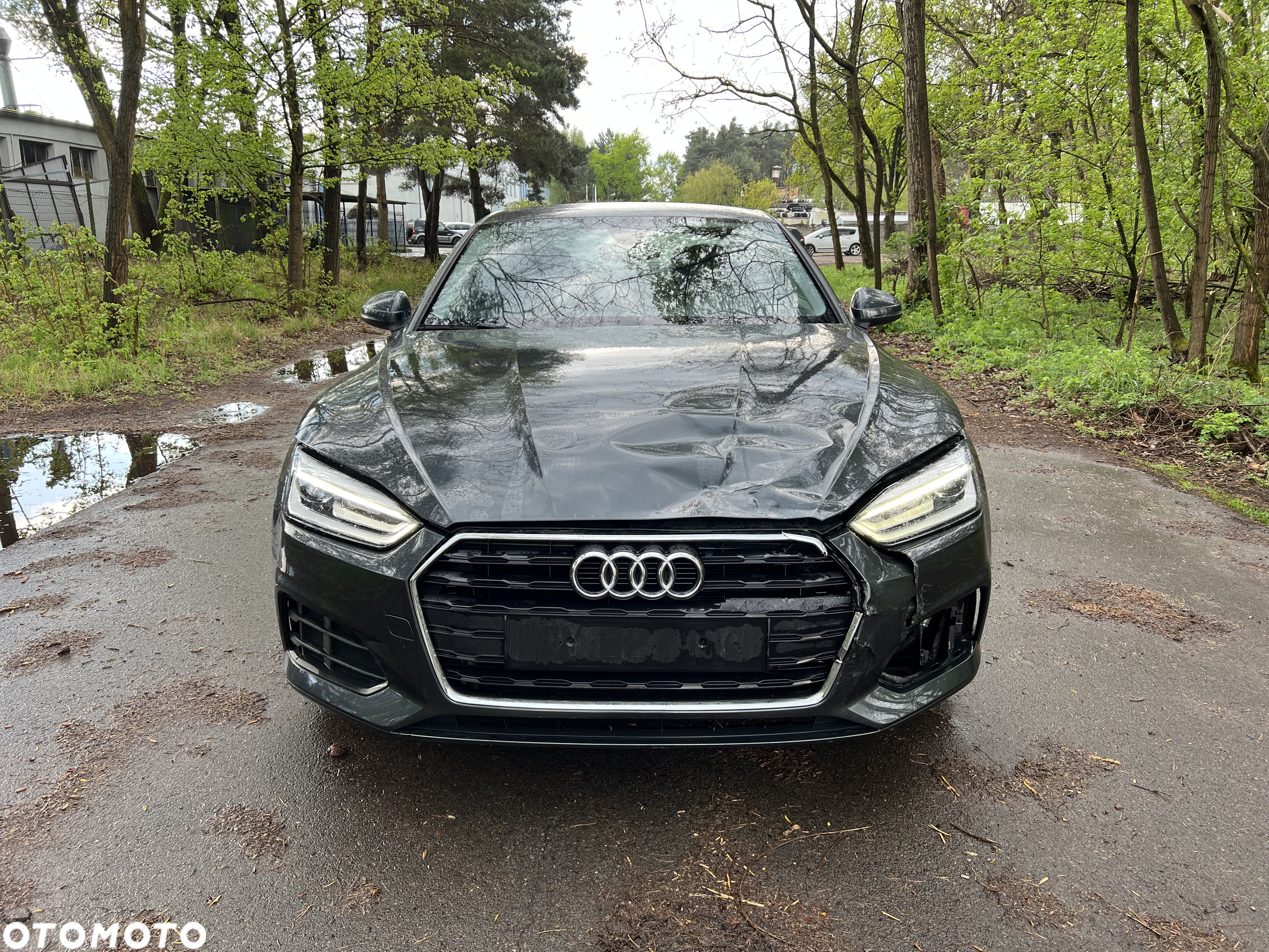 Audi A5 2.0 TDI DPF (clean diesel) - 2