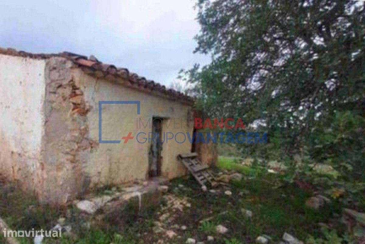 Terrenos mistos, 21 880m2, localizados no Sítio das Fontainhas, Con... - Grande imagem: 2/7