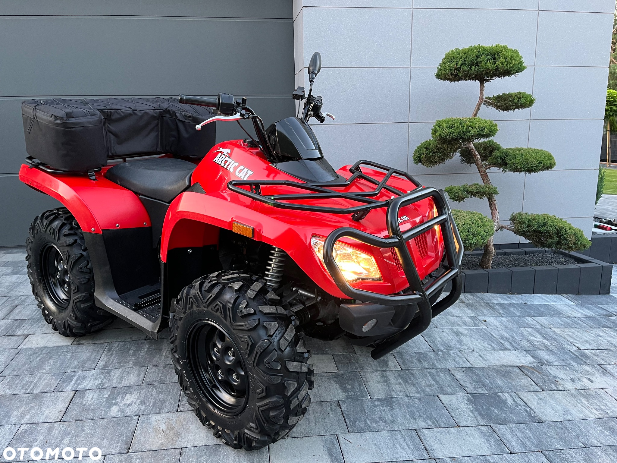 Arctic Cat Inny