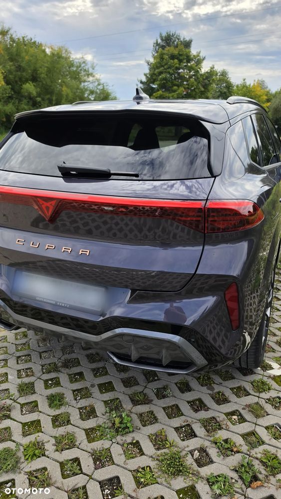 Cupra Terramar 2.0 TSI 4Drive Advantage Edition DCC DSG - 8