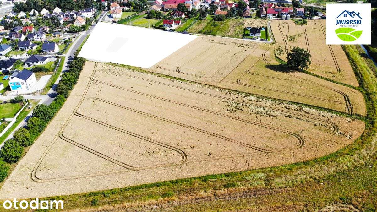 Działki z wodą miejską i utwardzoną drogą -Pszenno - Pełny obrazek: 2/6