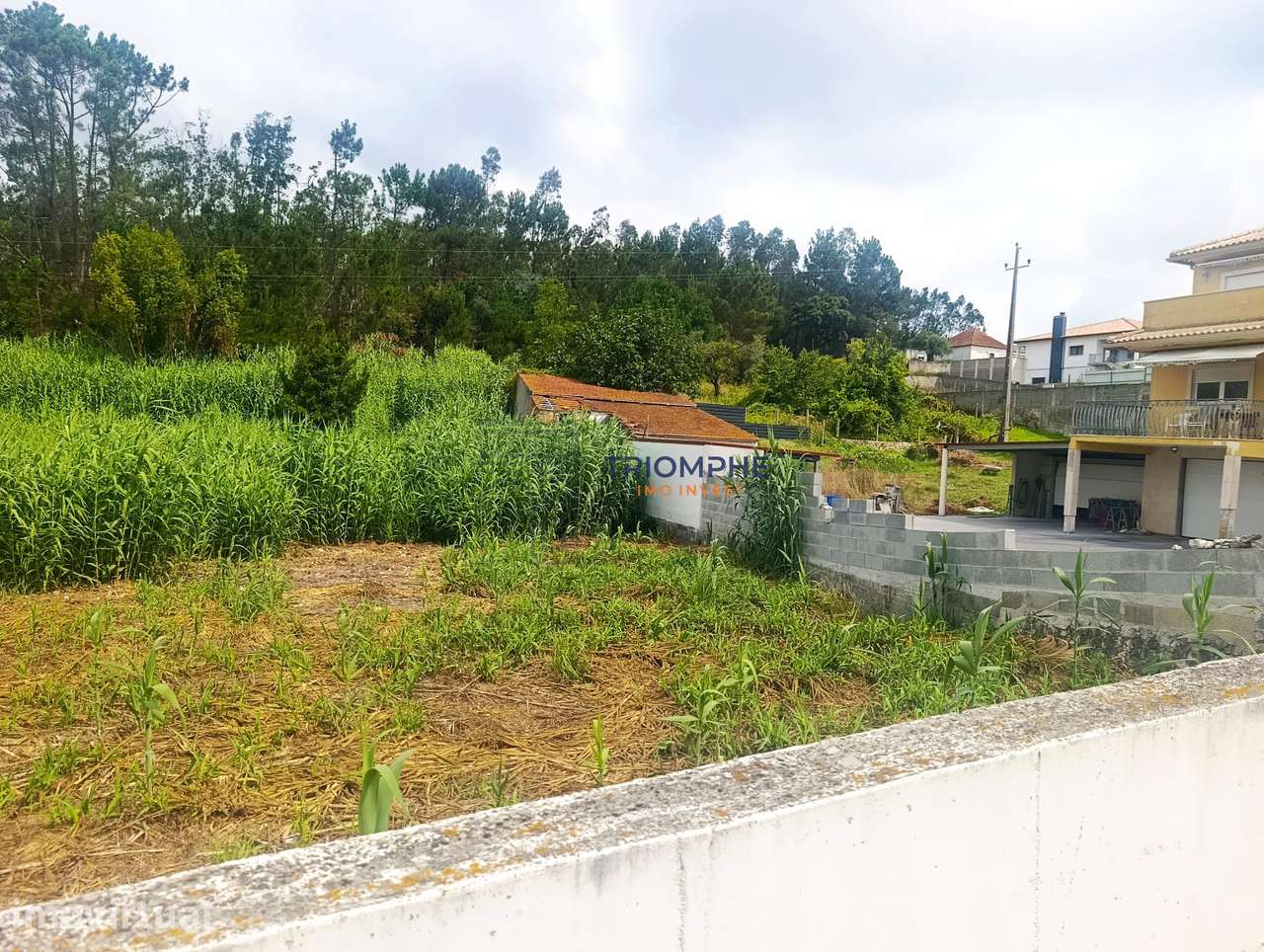 Terreno Rústico Urbanizável com 3274 m2 em Pelariga, Pombal - Grande imagem: 2/6