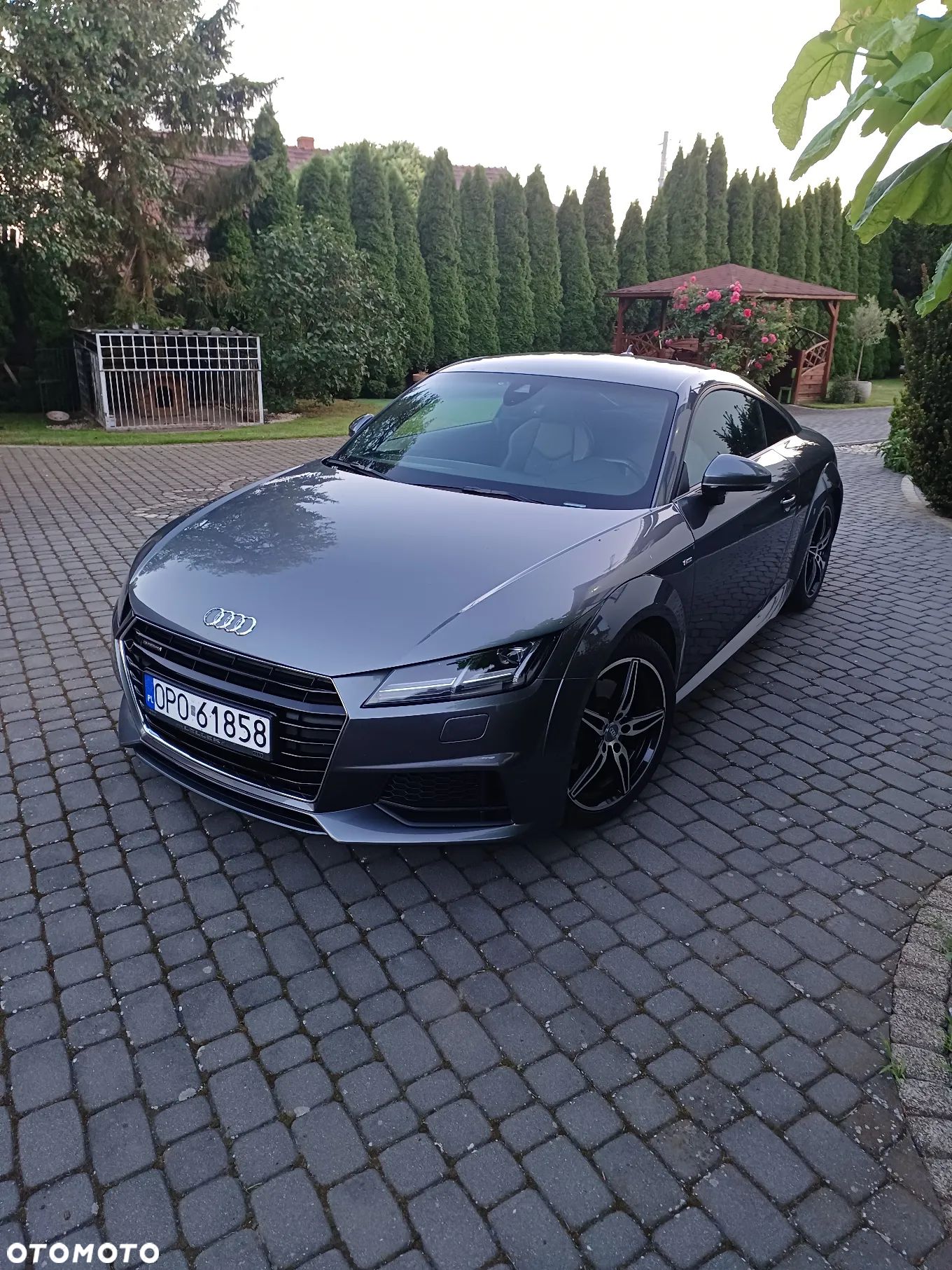 Audi TT - 1
