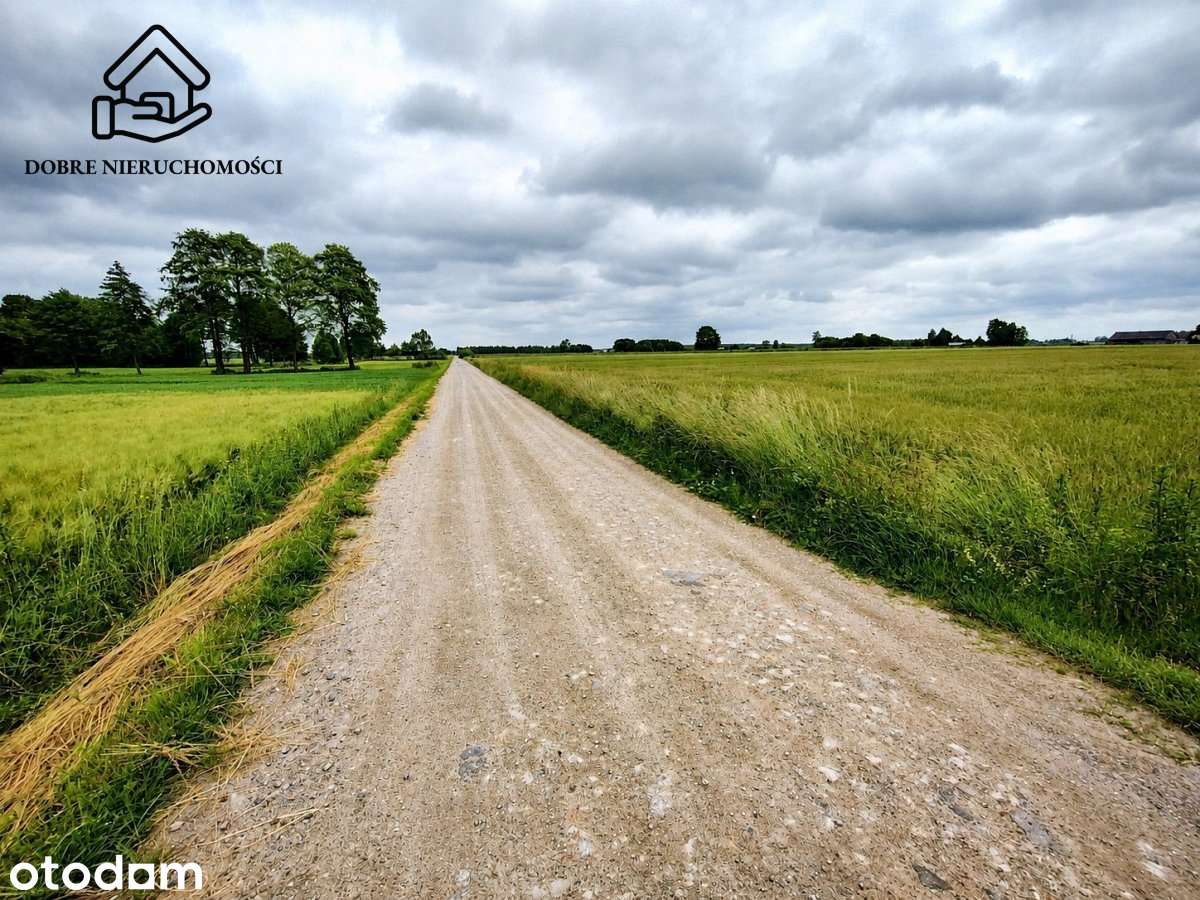 Działka budowlana 32x94 m - Siedliska gm. Kamionka - Pełny obrazek: 5/5