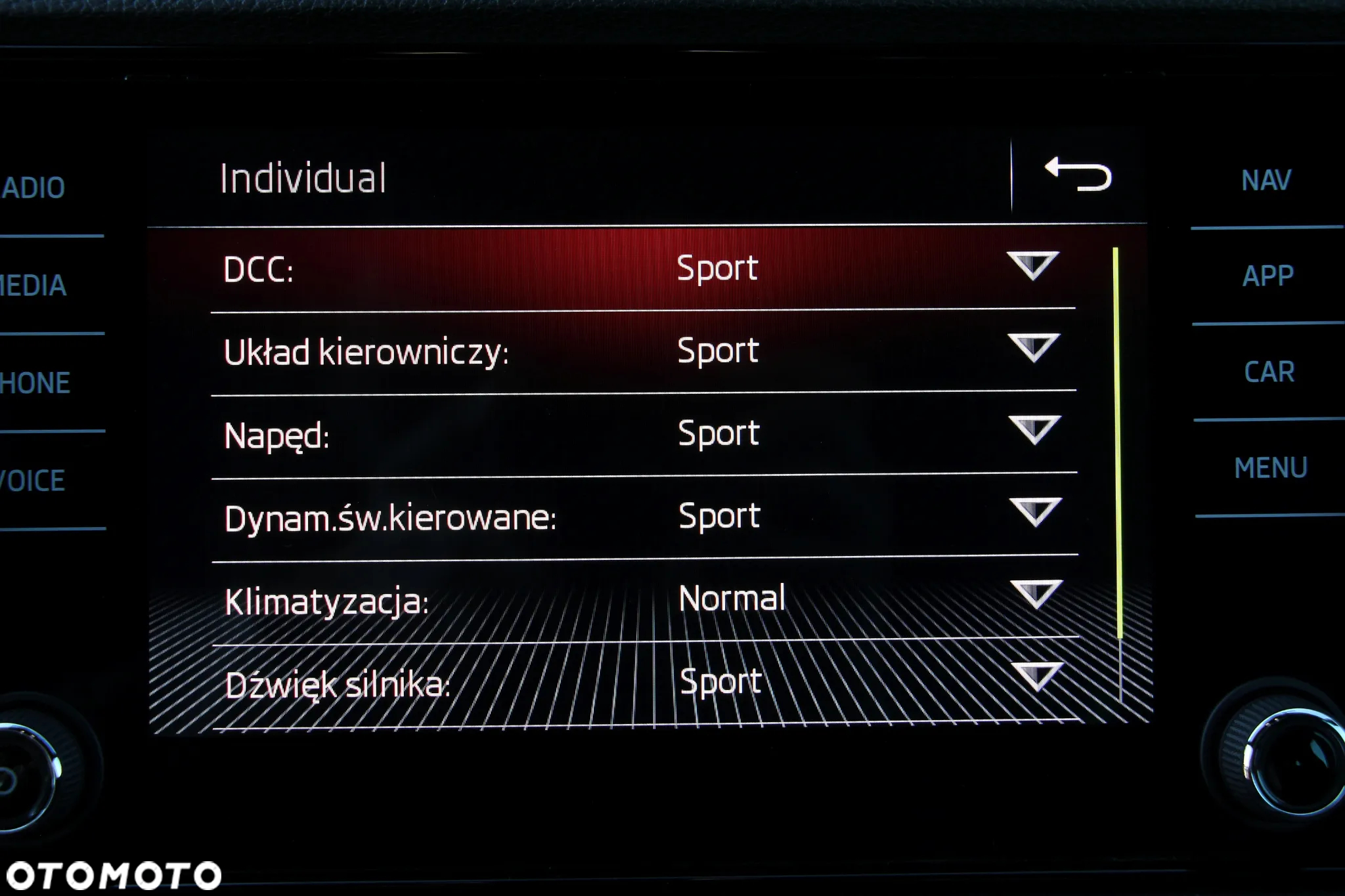 Skoda Karoq 2.0 TSI 4x4 Sportline DSG - 25