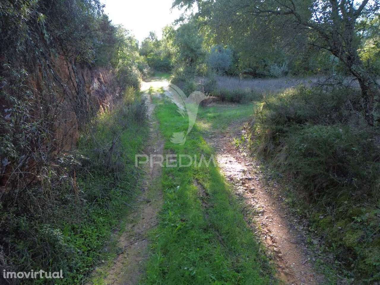 Terreno Rústico de 18.360 m² em Arneiro das Milhariças - Grande imagem: 2/25