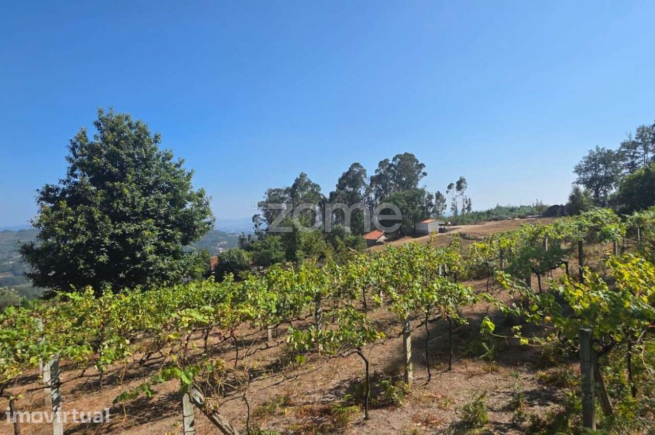 Terreno para construção em Rio Mau- Vila Verde - Grande imagem: 2/10