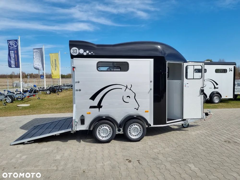 Cheval Liberte Gold 3 - 29