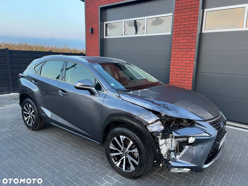 Lexus NX 300h - 39