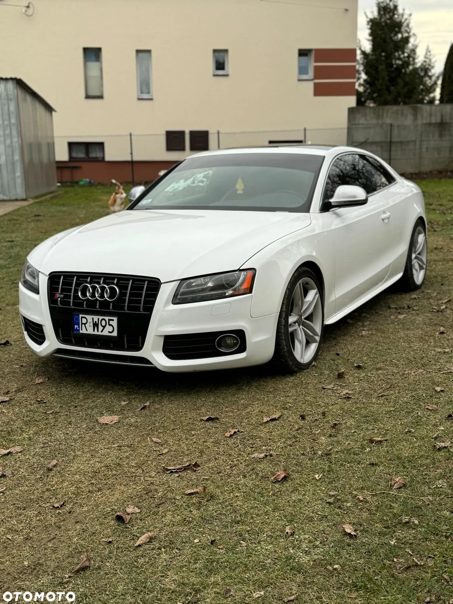 Audi S5 4.2 Quattro - 3