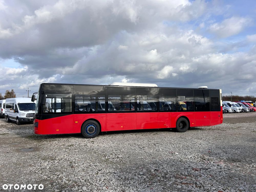 Inny Guleryuz Ecoline 12 - 8