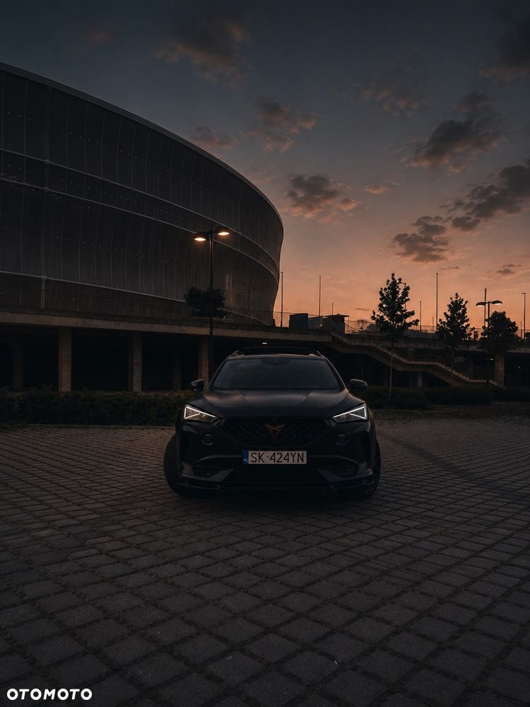 Cupra Formentor 2.0 TSI 4Drive VZ DSG - 24