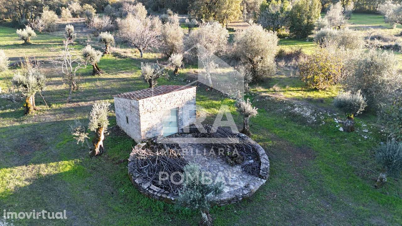 Moradia para reconstruir, Avecasta - Grande imagem: 3/13