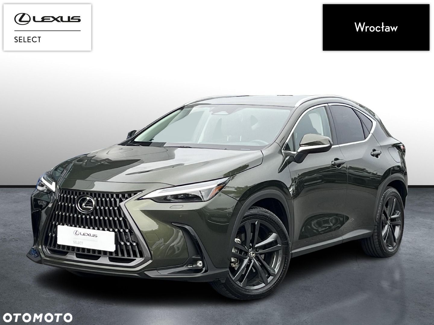 Lexus NX - 1