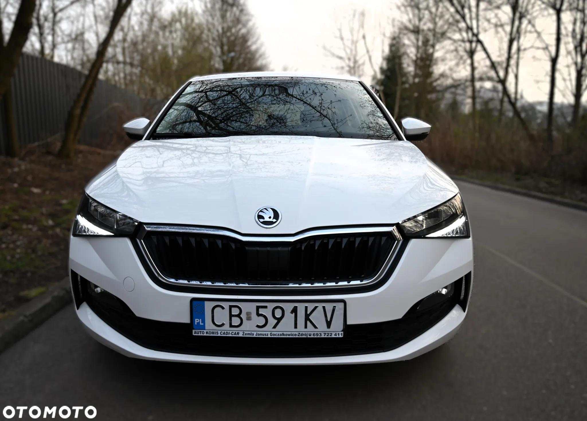 Skoda Scala - 2