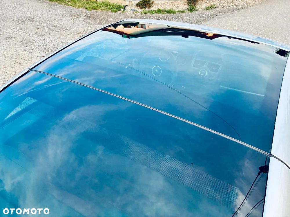 Renault Megane 2.0 Turbo Privilege - 20