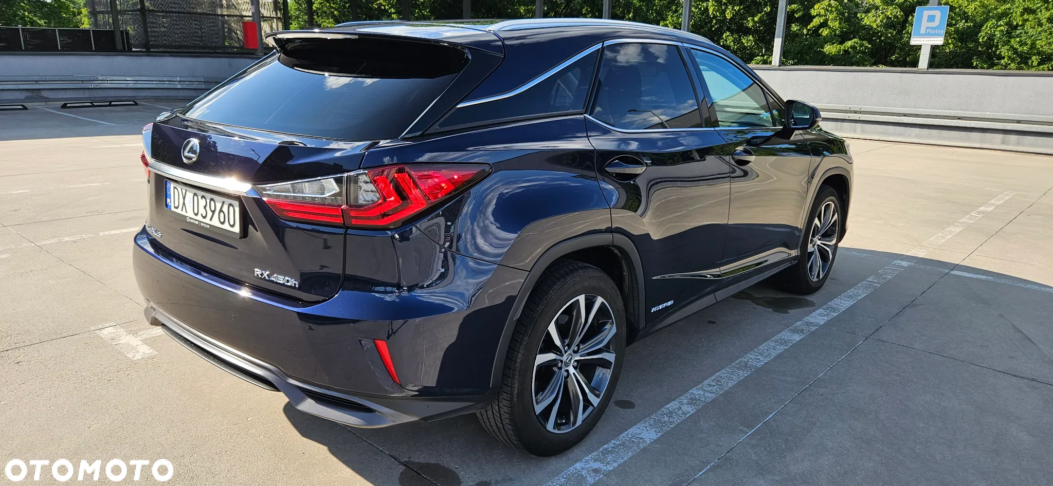Lexus RX 450h Elegance - 6