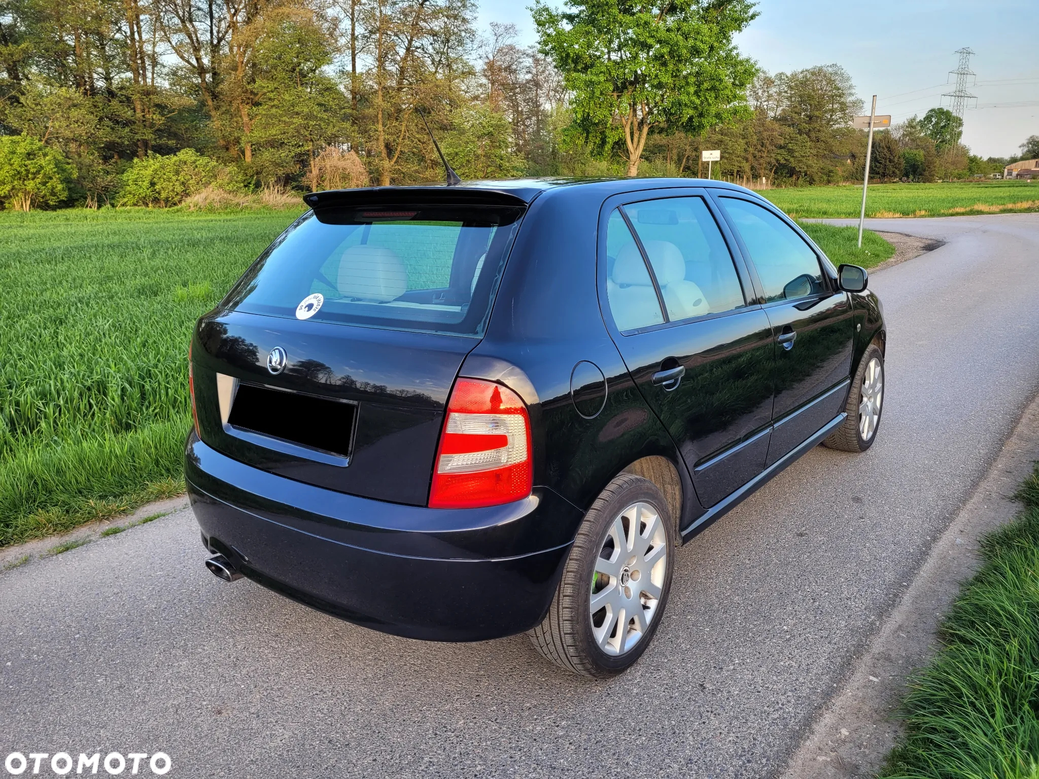 Skoda Fabia 1.9 TDI RS - 12