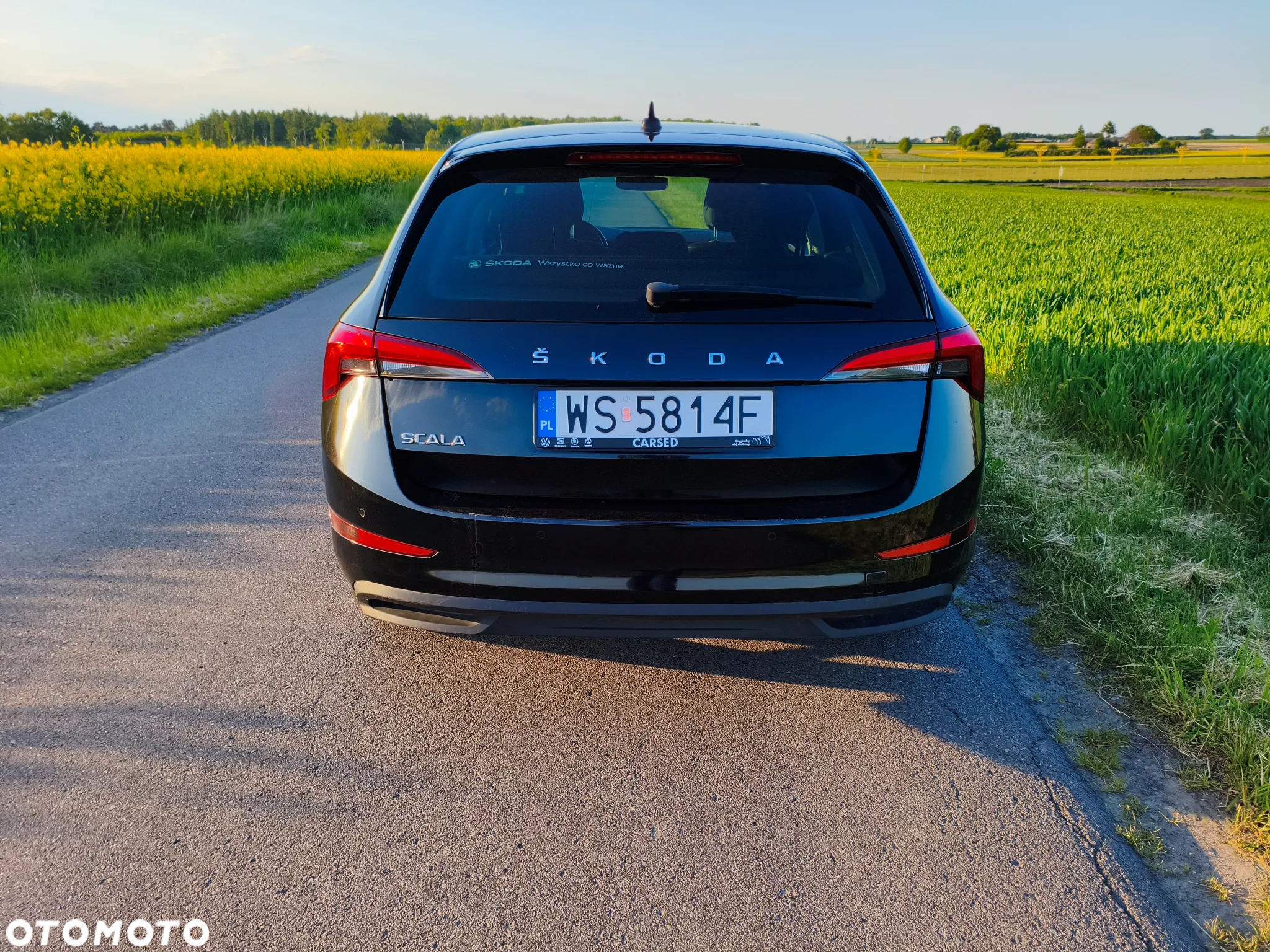 Skoda Scala 1.0 TSI Ambition - 13