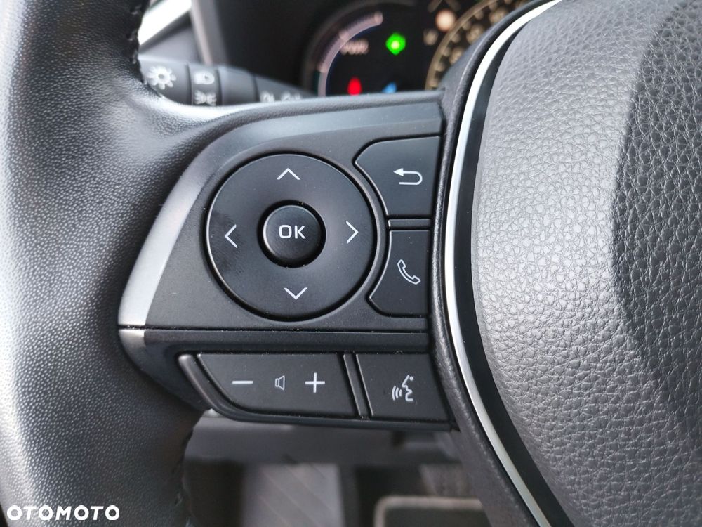 Toyota RAV4 2.5 Hybrid Selection 4x2 - 18