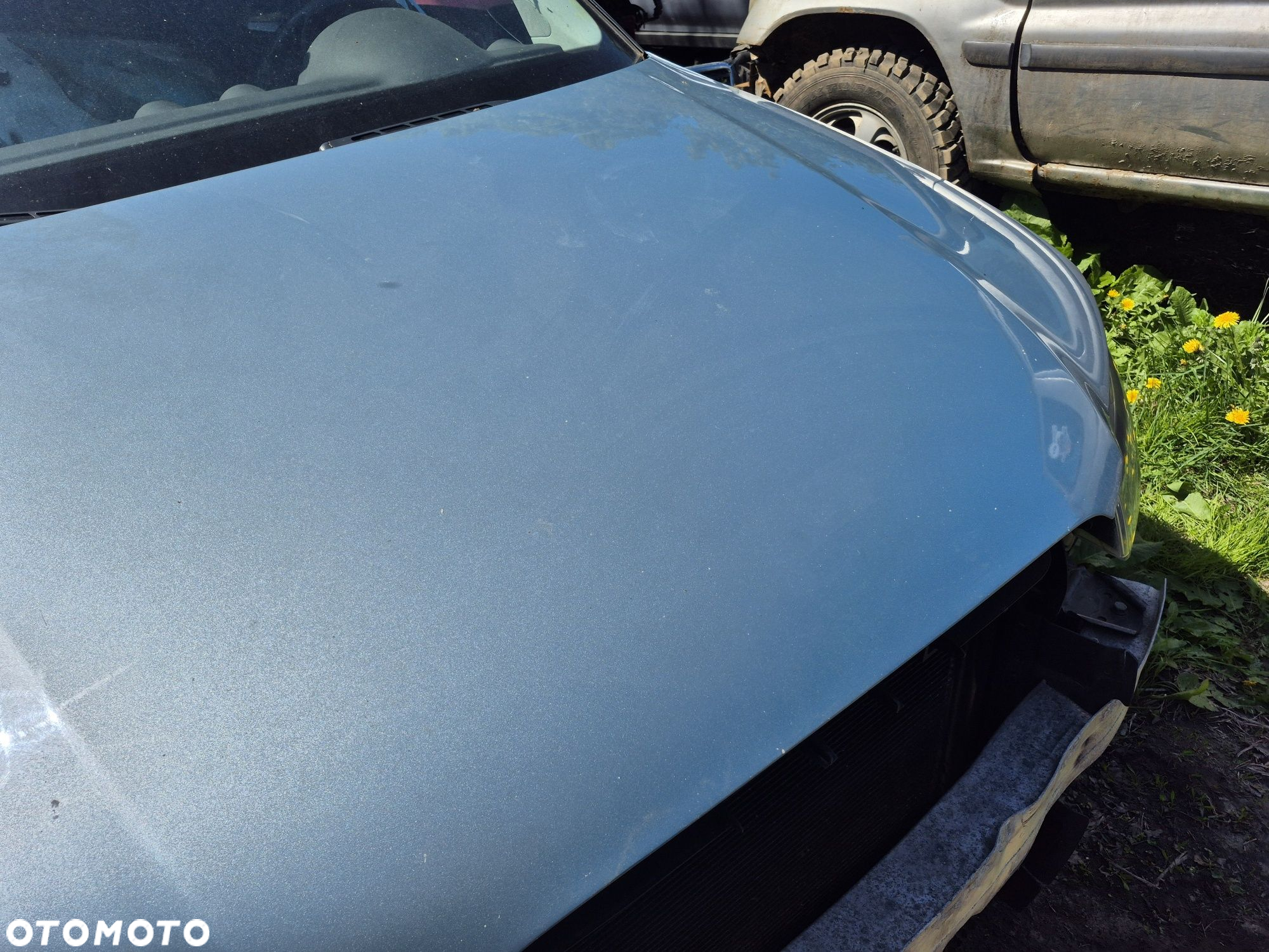 Maska audi a3 8p duży grill kolor ly5j - 6