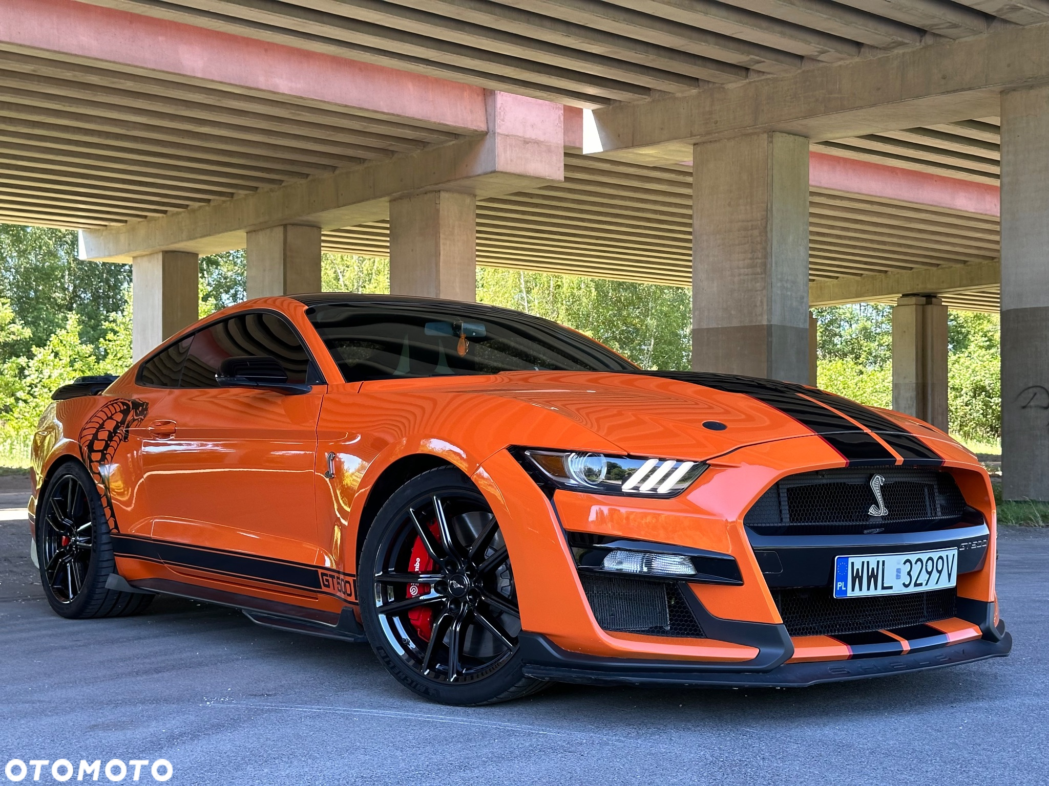 Ford Mustang - 14