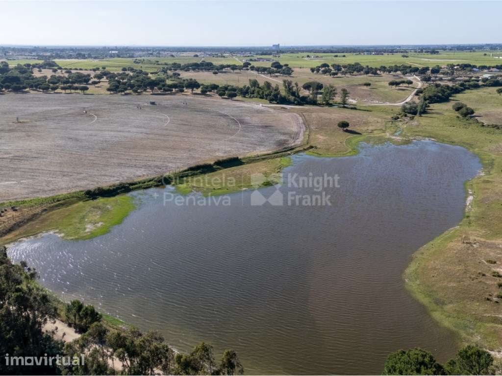 Terreno com 79 ha com viabilidade de construção em Palmela - Grande imagem: 2/25