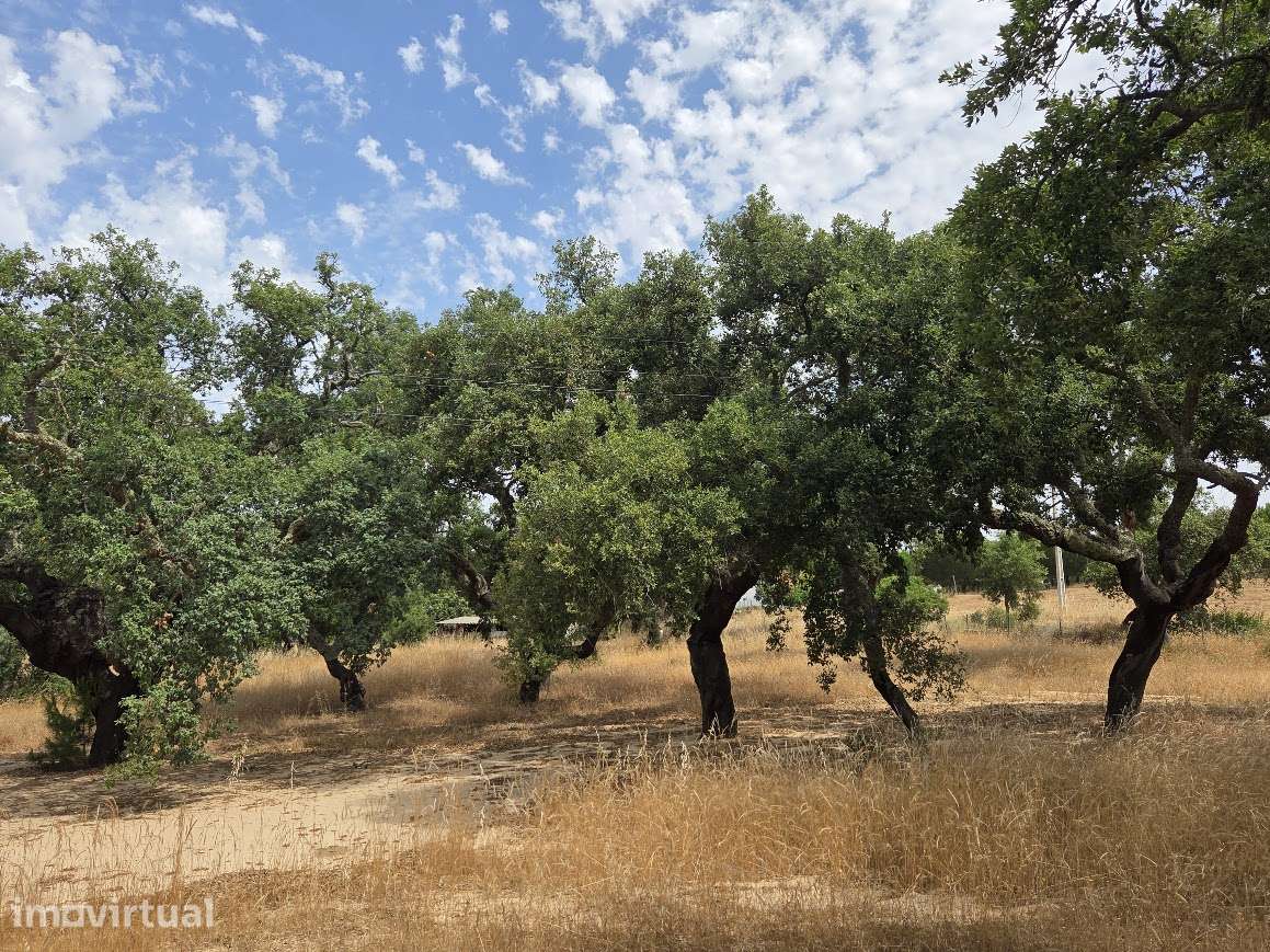 Refúgio Exclusivo no Alentejo Litoral-Melides - Grande imagem: 4/10