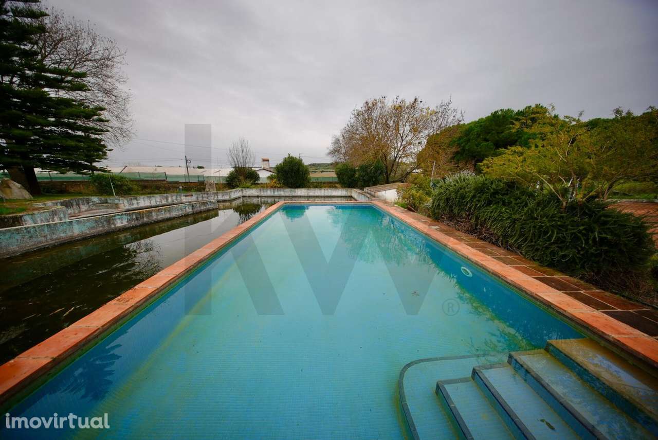 Herdade com cerca de 32 hectares | Terreno rústico e urbano | Elevado - Grande imagem: 4/60