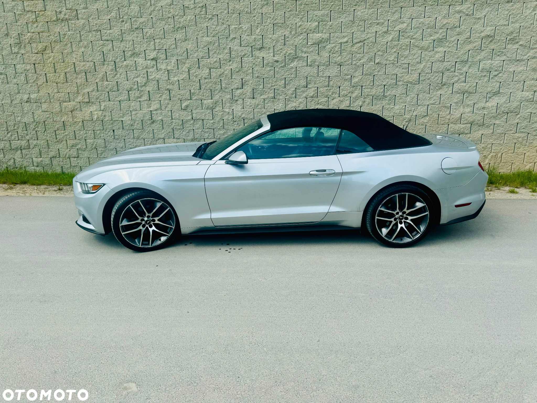 Ford Mustang - 6