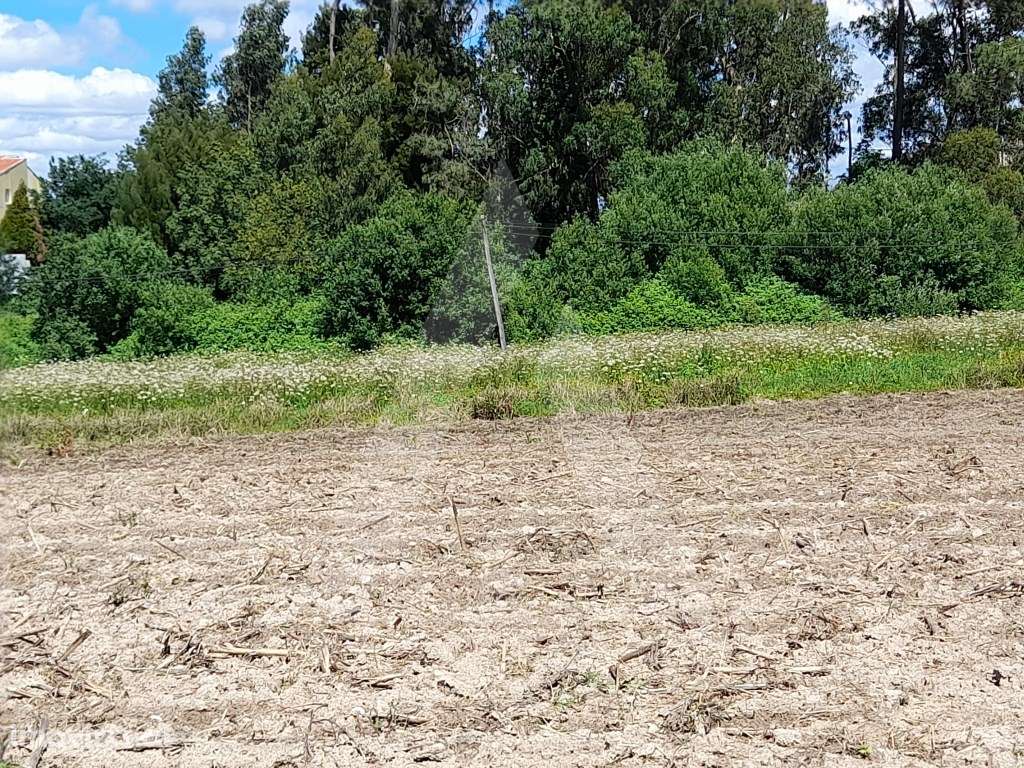 Terreno destinado a construção até 18 moradias na Patela, S.Bernardo - Grande imagem: 2/9