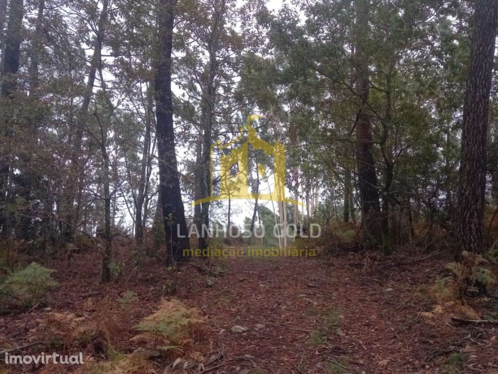 Terreno Florestal em Cunha, Paredes de Coura - 3.150 m² - Grande imagem: 4/9