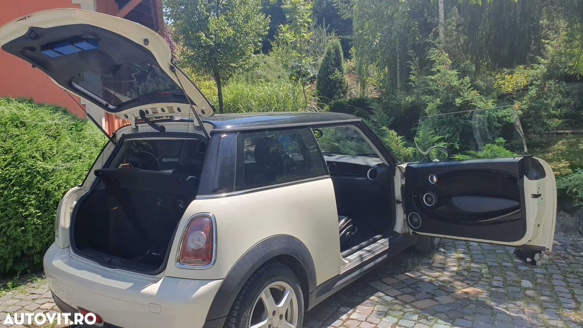 Mini Cooper Standard - 9