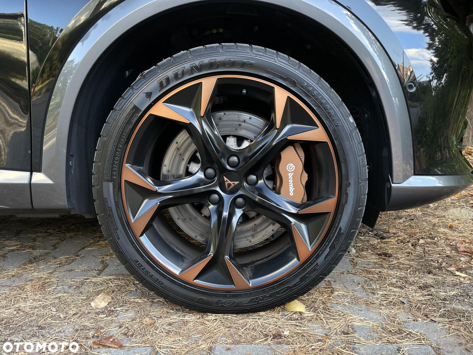 Cupra Formentor 2.0 TSI 4Drive VZ DSG - 39