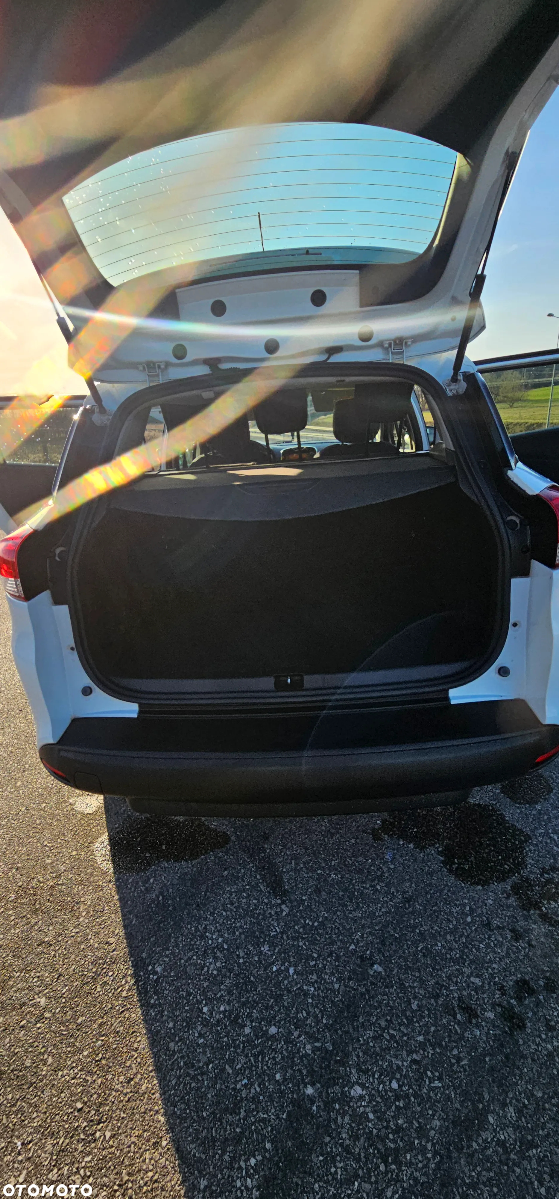 Renault Clio - 19