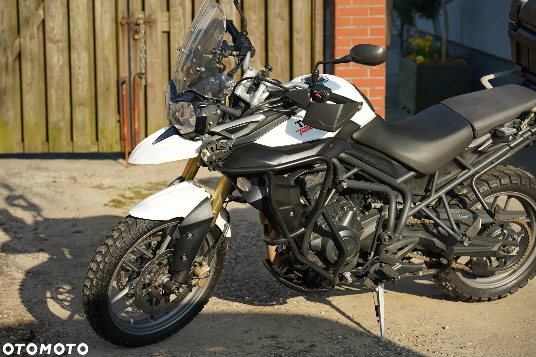 Triumph Tiger - 13