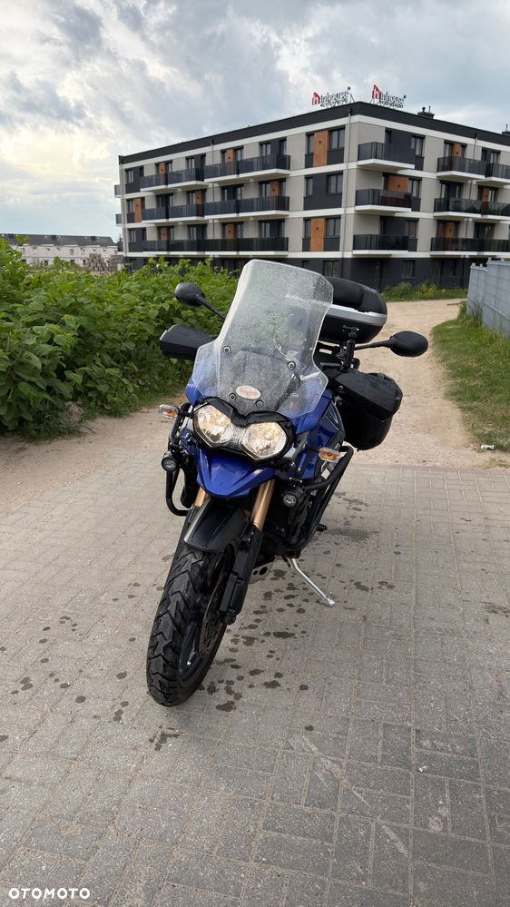 Triumph Tiger - 1