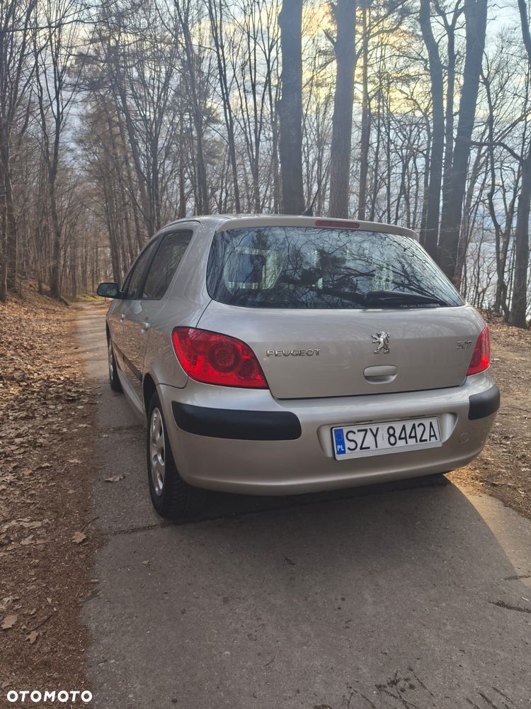 Peugeot 307 - 10