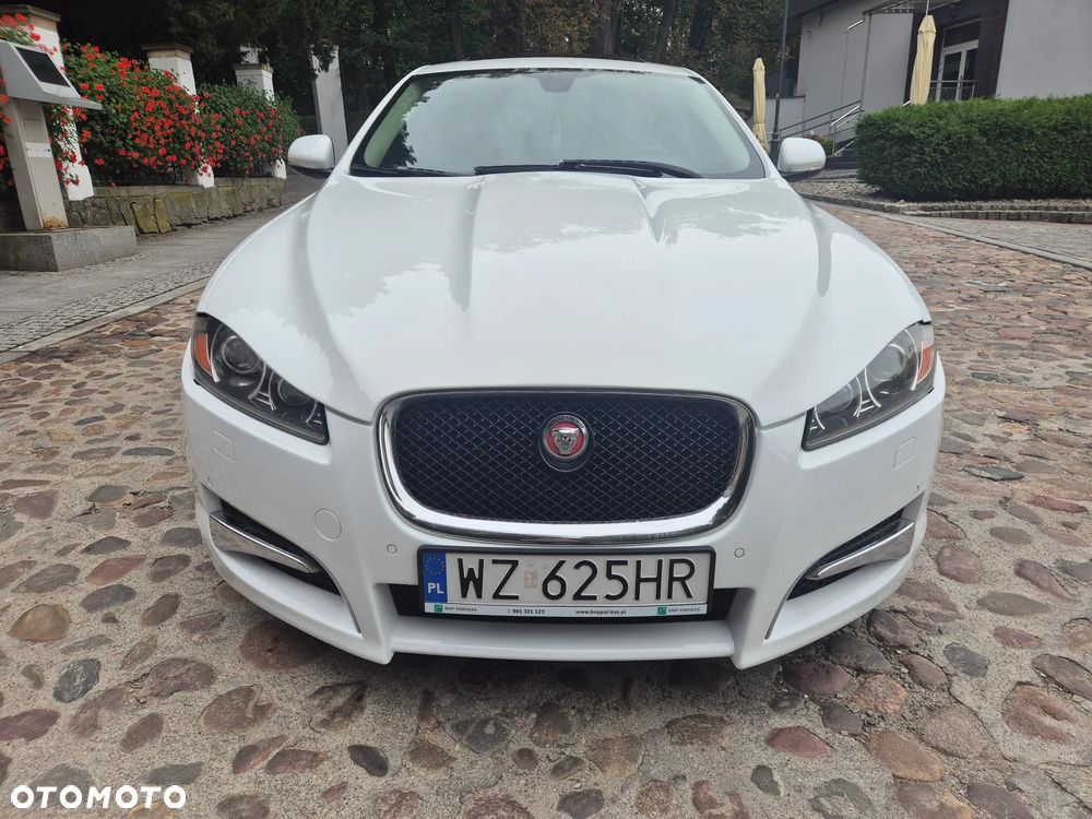 Jaguar Xf 2013 photo 2