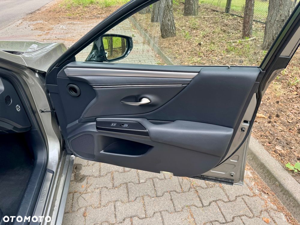Lexus ES 300h F Sport - 18