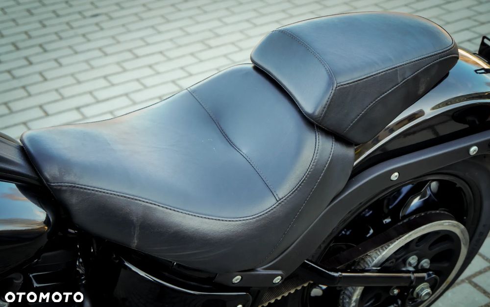 Harley-Davidson Inny - 18